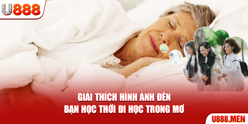 Giải thích hình ảnh đến bạn học thời đi học trong mơ